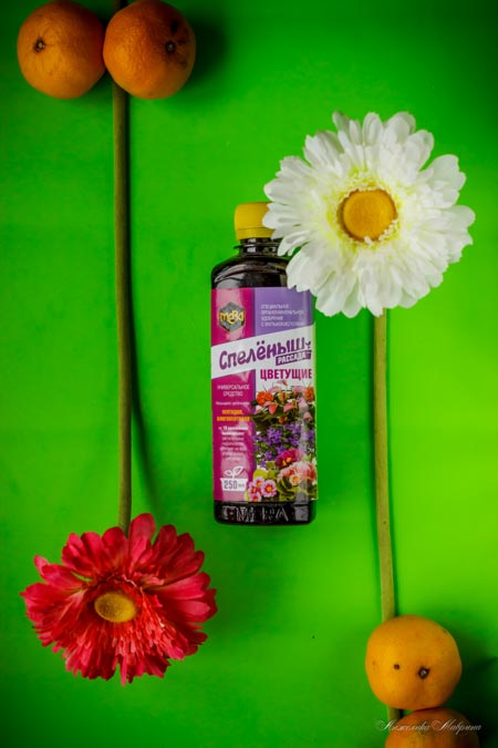 Спелёныш - удобрение для рассады и черенков Спелёныш - удобрение для рассады и черенков