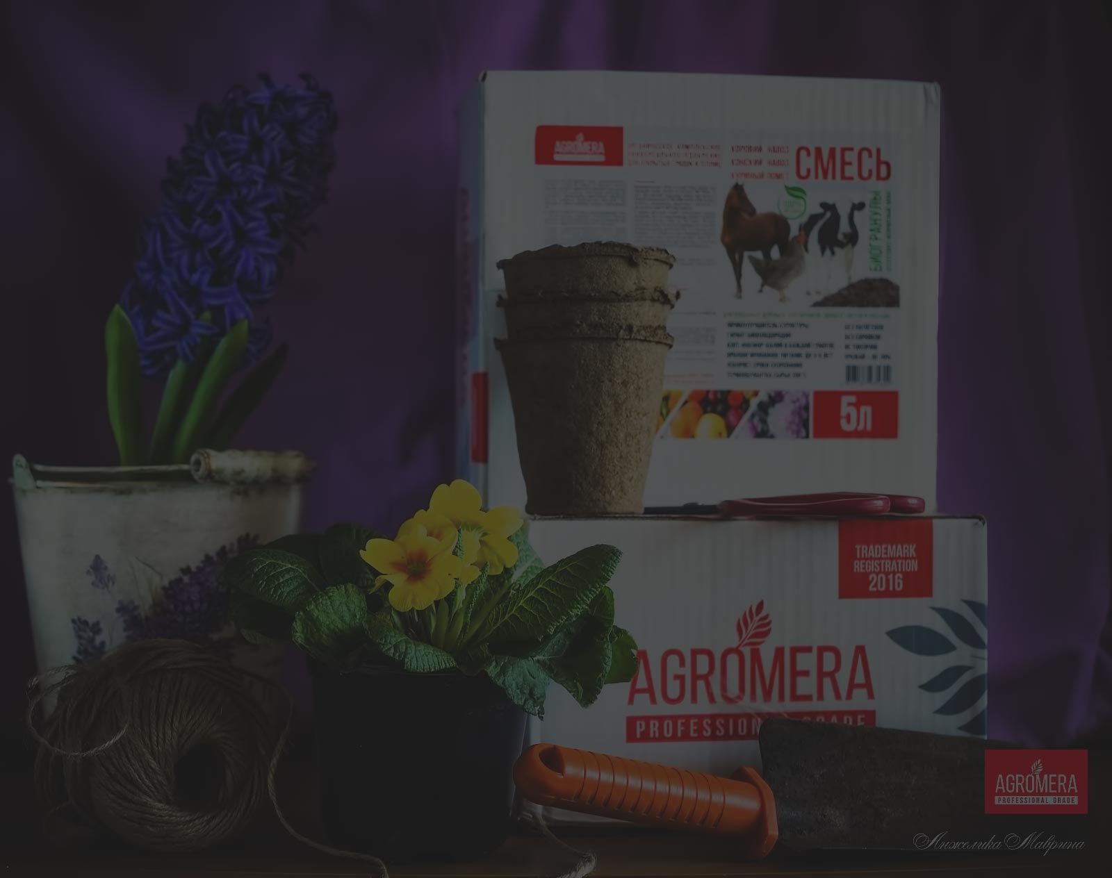 Выращивание зелени на подоконнике в марте: простые шаги