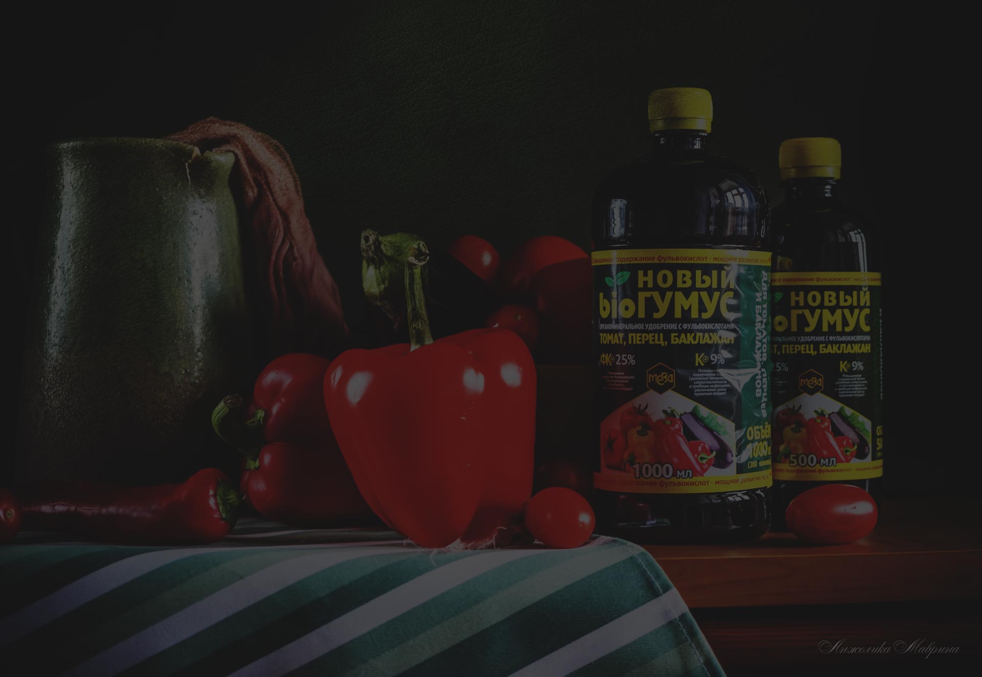 Выращивание зелени на подоконнике в марте: простые шаги