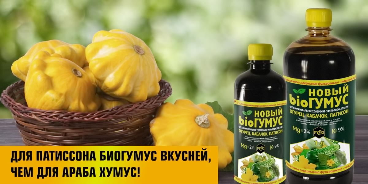 Для патиссона биогумус вкусней, чем для араба хумус!