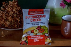 Как развести бордосскую смесь для обработки