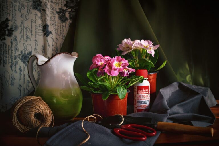 Уход за садовыми цветами