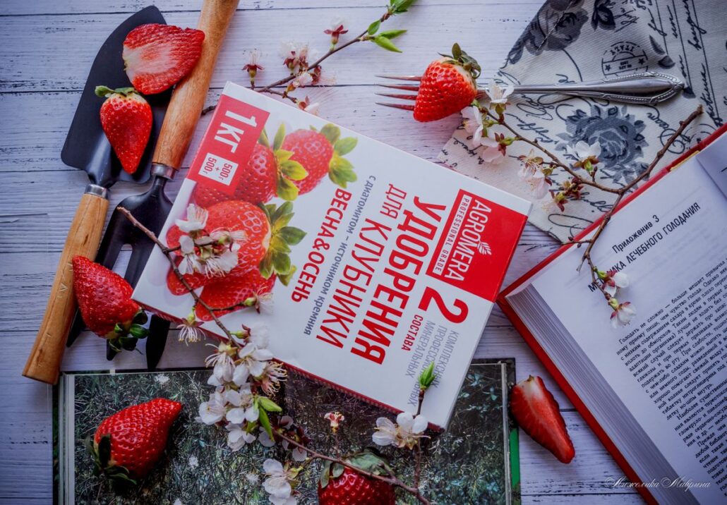 Удобрения для подкормки клубники