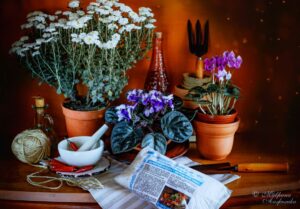 Универсальное удобрение для сада