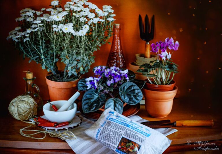 Универсальное удобрение для сада