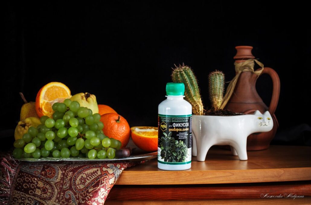 удобрения для фикуса в домашних условиях