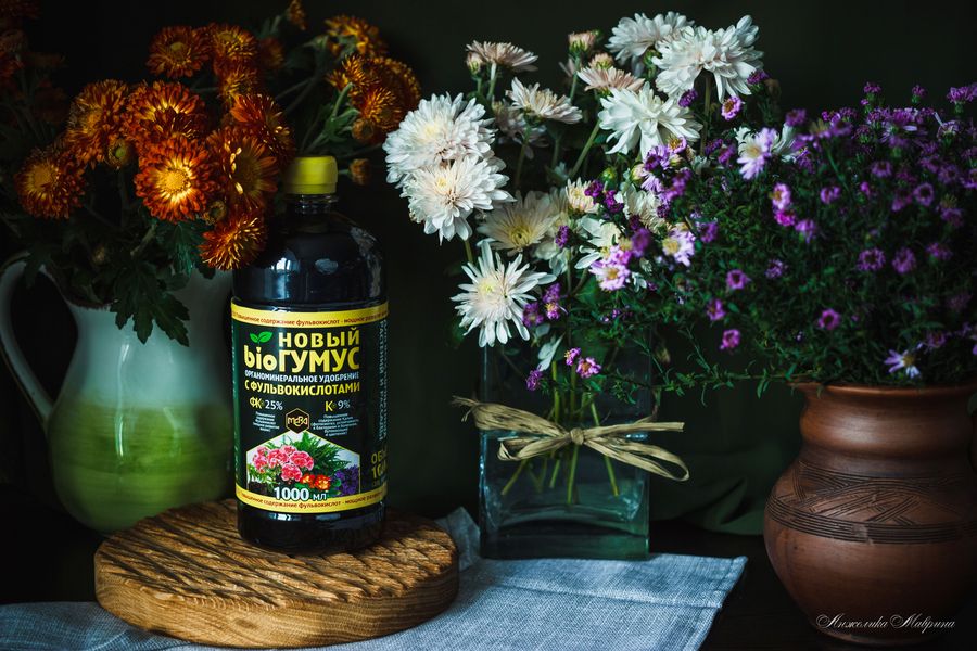 Надежная защита комнатных растений от грибковых заболеваний: современный подход