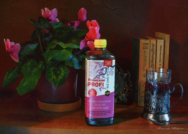 Посадка плодовых деревьев и кустарников в ранней весной на даче