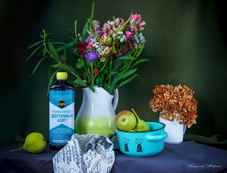 Выращивание калл на подоконнике: советы специалистов Выращивание калл на подоконнике: советы специалистов